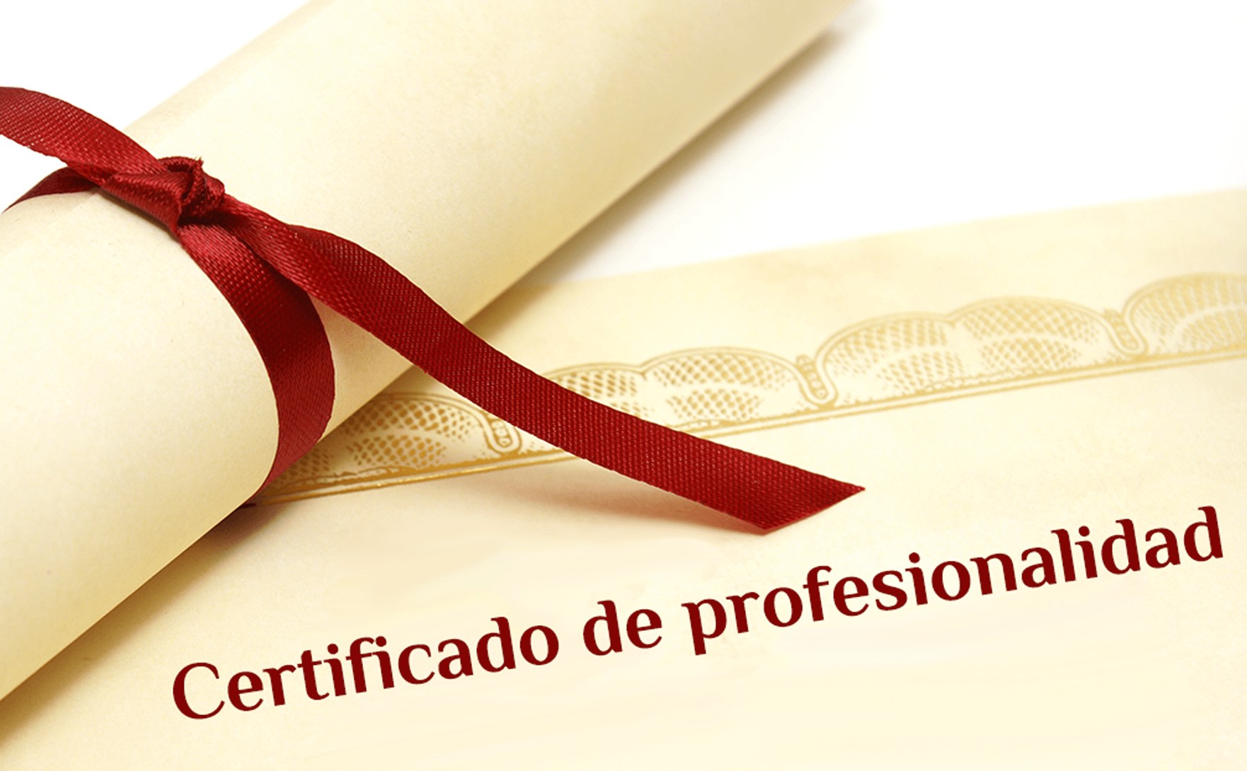foto certificad